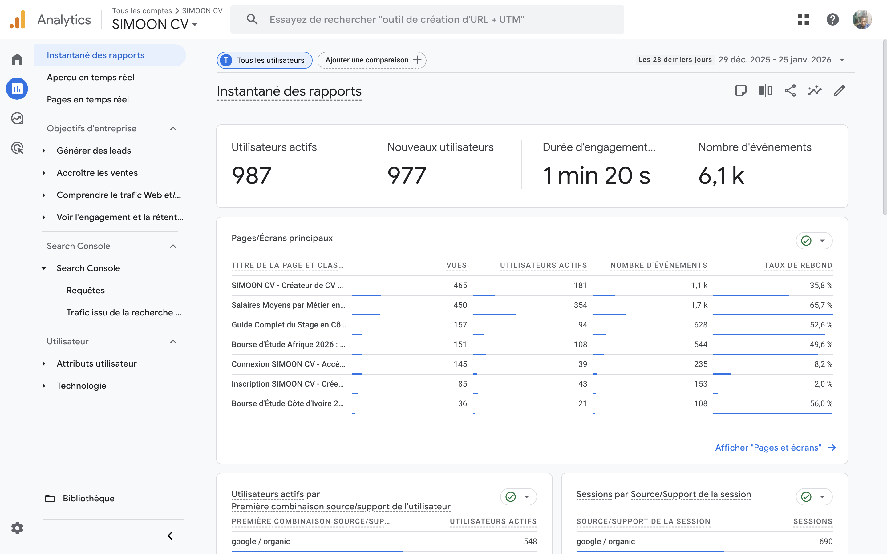 Google Analytics - Vue d'ensemble