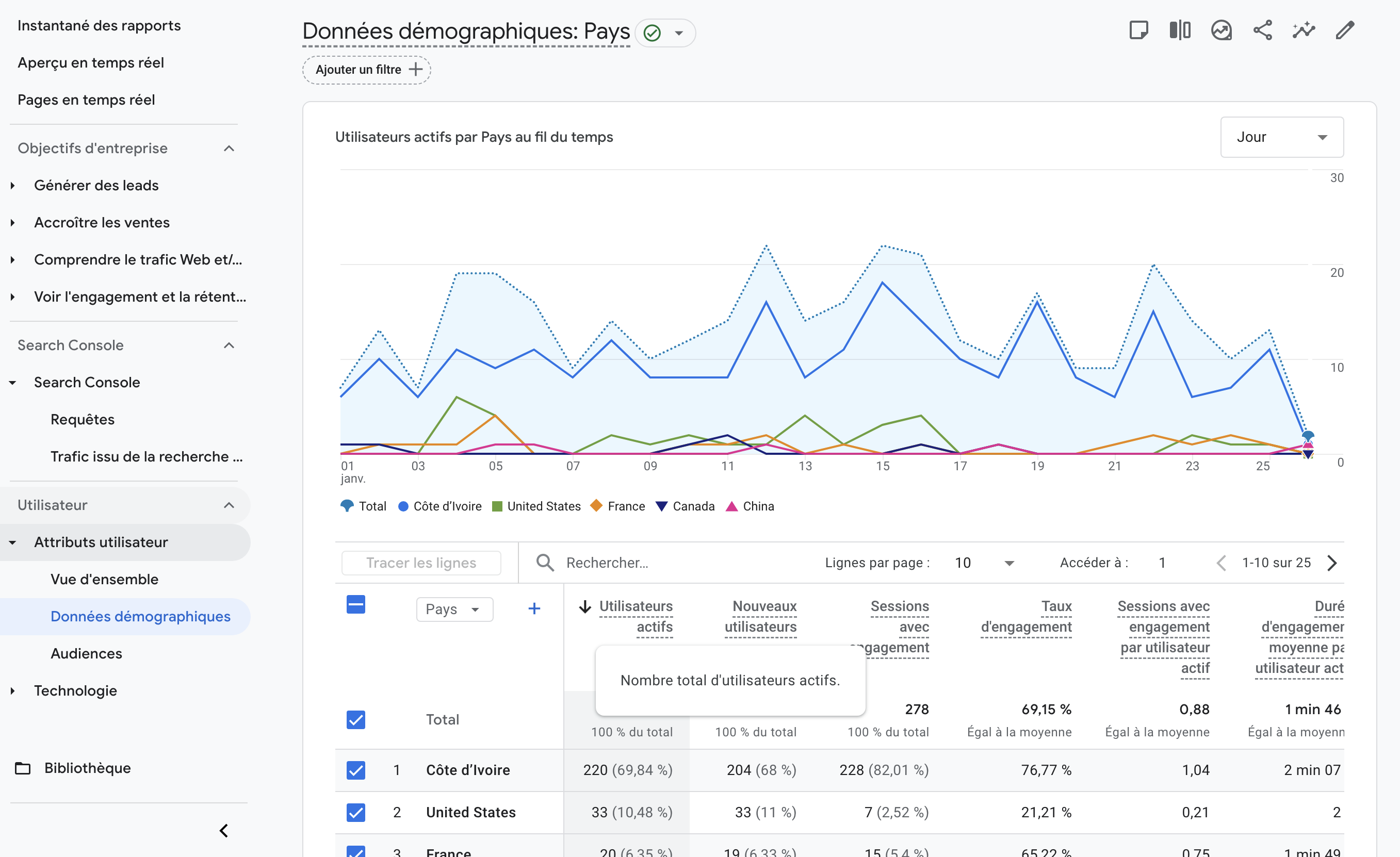 Google Analytics - Données démographiques